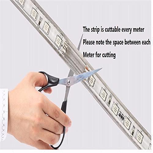 ALILA Flexible EL Wire LED Rope Tube Glow Diwali Christmas Lights Dance Party Decor - ALiLA