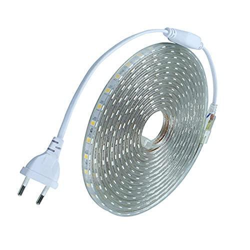 ALILA Flexible EL Wire LED Rope Tube Glow Diwali Christmas Lights Dance Party Decor - ALiLA