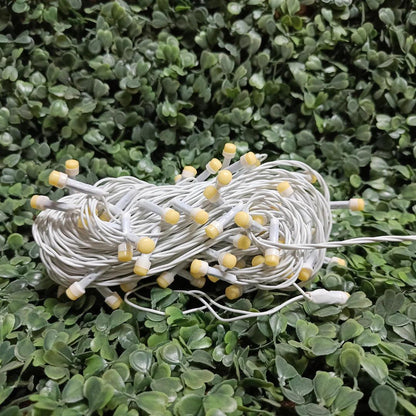 10Meter Warm White Beige LED Fairy String Indoor Outdoor Diwali Lights for Decoration for Home Living Room Decor Christmas Patio Garden Wedding Party Decorations Light, 32 Feet, Pack of 1 - ALiLA