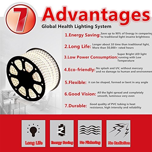 Home ALiLA ALILA Flexible EL Wire LED Rope Tube Glow Diwali Christmas Lights Dance Party Decor Home